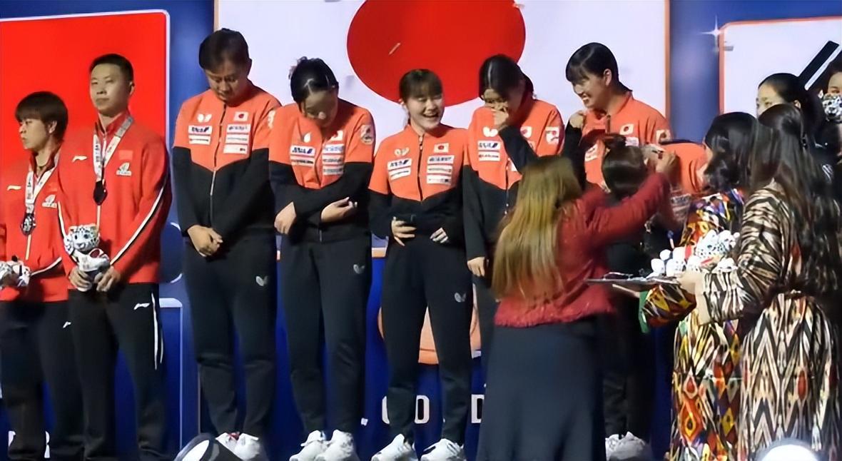 专业伟德官方网站服务