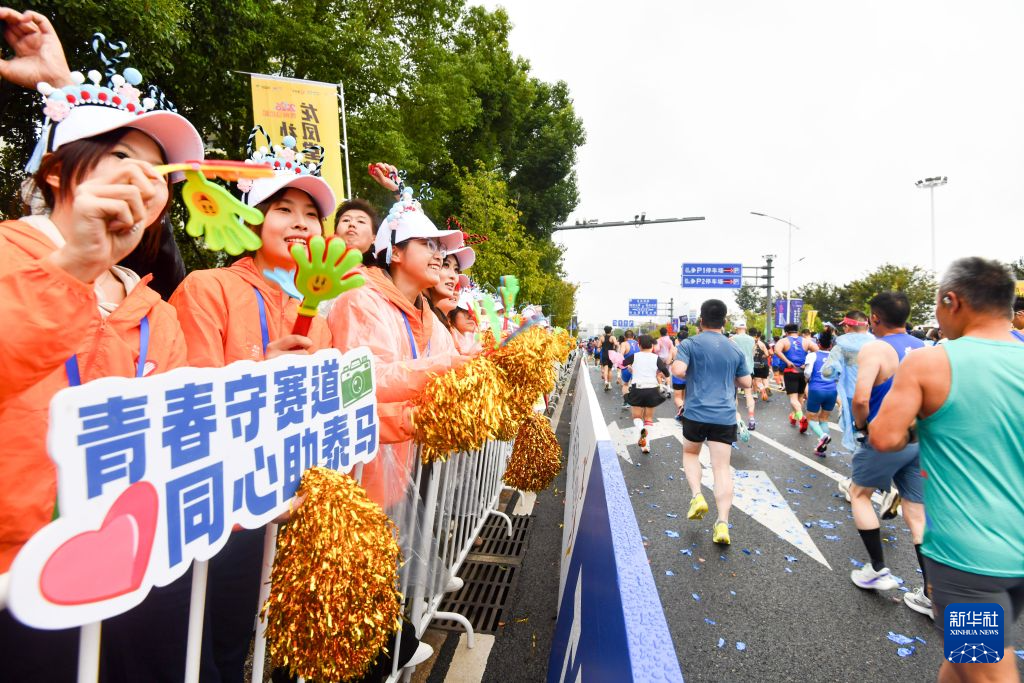 专业伟德官方网站服务